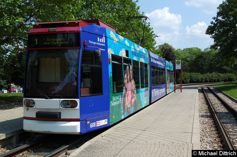 Bild: MGT6D/E 608 als Linie 1 an der Thüringenhalle.