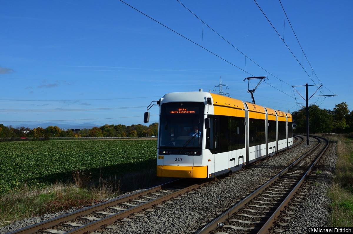 Bild: Wagen 217 als Linie 51 kurz vor Erreichen der Haltestelle Wiesenstraße.
