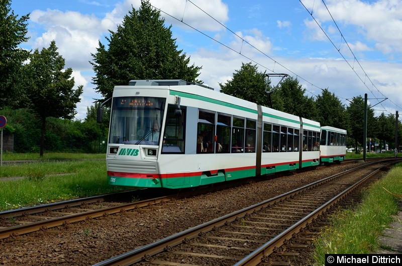 Bild: 1305 + 2205 als Linie 41 zwischen den Haltestellen Albert-Vater-Str. und Rennetal.