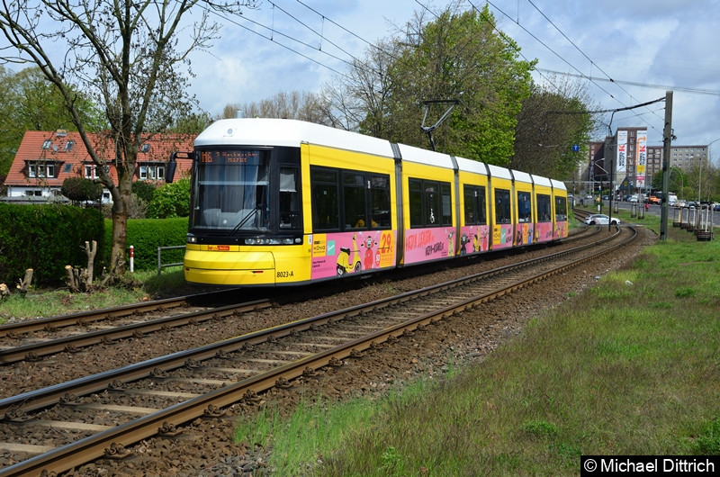 Bild: 8023 als Linie M6 zwischen den Haltestellen Landsberger Allee/Rhinstr. und Dingelstädter Str.