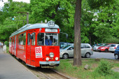 46