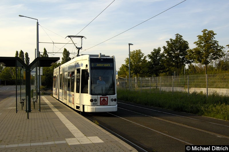 Bild: 302 als Linie 3 an der Haltestelle BSZ Sporthalle.