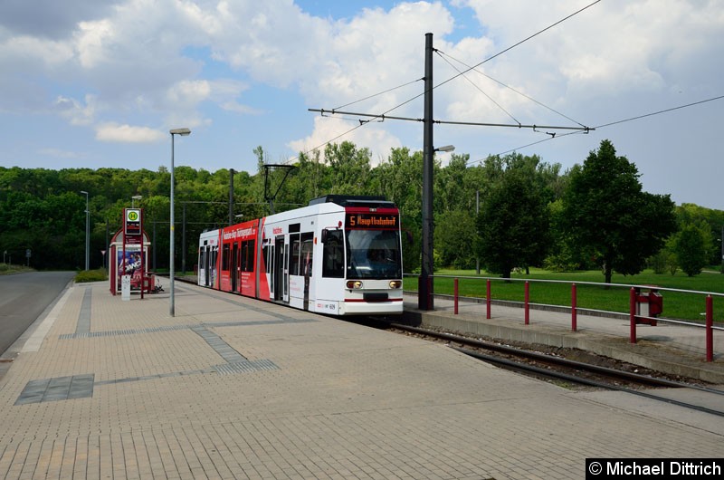 Bild: MGT6D/E 609 als Linie 5 an der Haltestelle Zoopark.