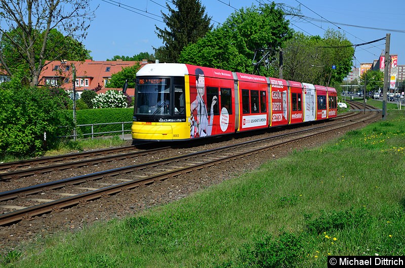 Bild: 8003 als Linie M6 kurz vor der Haltestelle Landsberger Allee/Rhinstr.