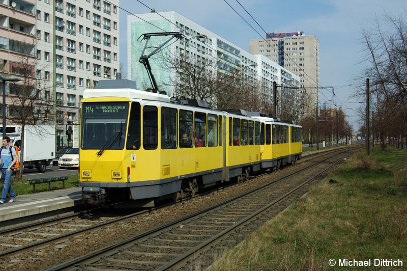 Bild: 7082 als Linie M4 an der Haltestelle Mollstraße/Otto-Braun-Straße.