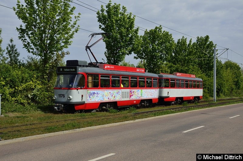 Bild: Sonderfahrt mit 1176 + 204: Kurz vor der Wendeschleife Soltauer Straße.