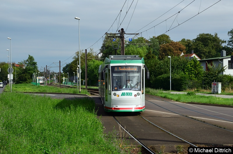 Bild: 1380 als Linie 1 beim Erreichen der Haltestelle Westring.