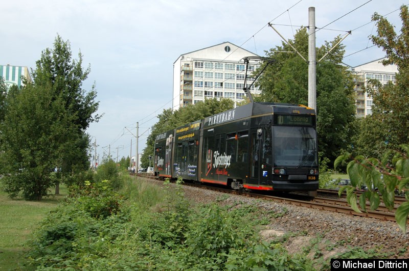 Bild: 1136 auf dem Weg nach Lößnig zwischen Moritz-Hof und Lößnig.