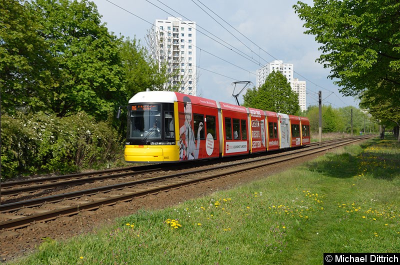Bild: 8003 als Linie M6 kurz vor der Haltestelle Marzahner Prommenade.