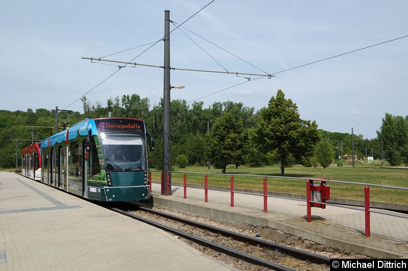 Bild: Combino 718 und 719 als Linie 5 an der Haltestelle Zoopark.