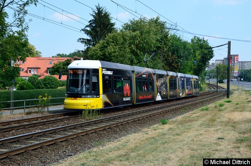 Bild: 8025 als Linie M6 kurz vor der Haltestelle Landsberger Allee/Rhinstr.