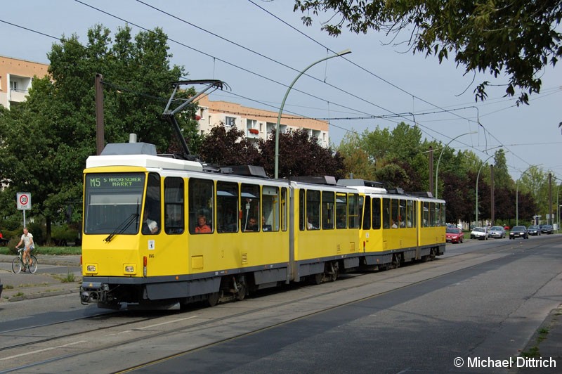 Bild: 7029 als Linie M5 vor der Haltestelle Judith-Auer-Straße.