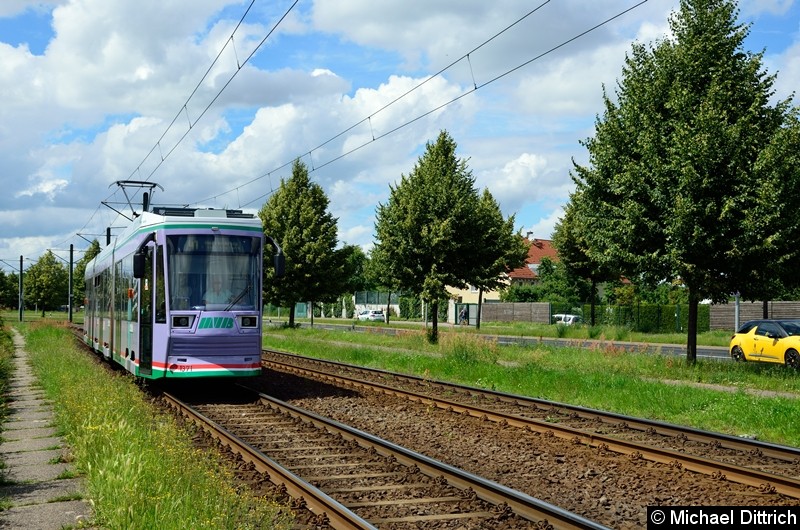 Bild: 1371 als Linie 41 zwischen den Haltestellen Rennetal und Albert-Vater-Str.