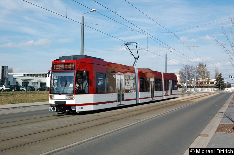 Bild: MGT6D 603 als Linie 1 kurz vor der Haltestelle Mittelhäuser Str.
