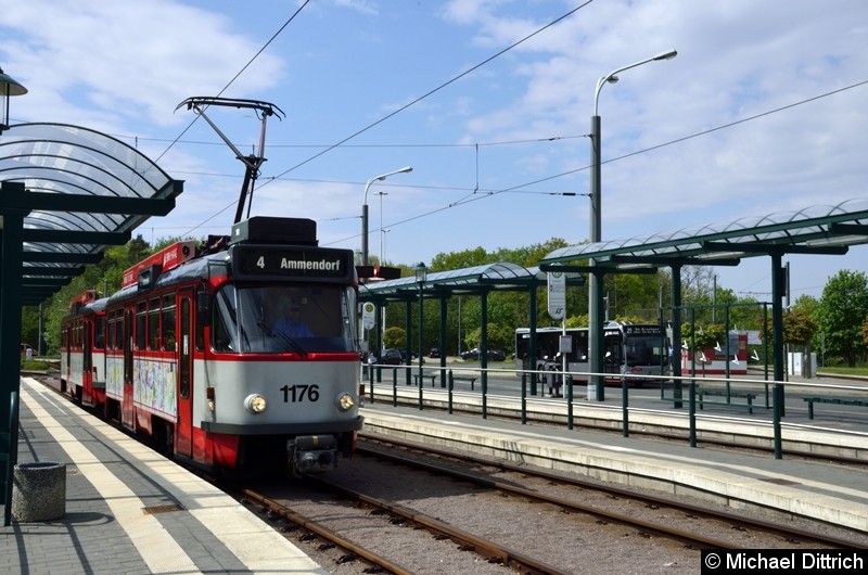 Sonderfahrt mit 1176 + 204: In der Haltestelle Kröllwitz.