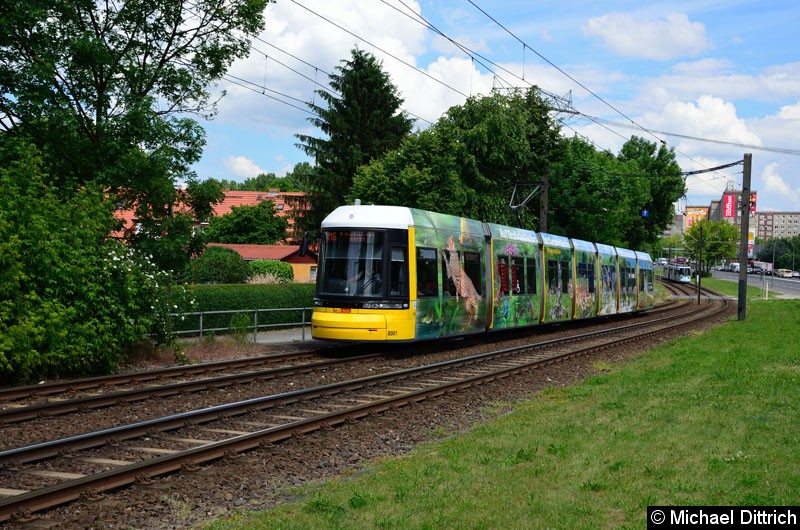 Bild: 8001 als Linie M6 kurz vor der Haltestelle Landsberger Allee/Rhinstr.