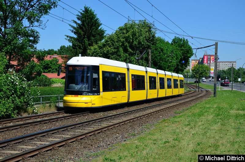 Bild: 8014 als Linie M6 kurz vor der Haltestelle Landsberger Allee/Rhinstr.