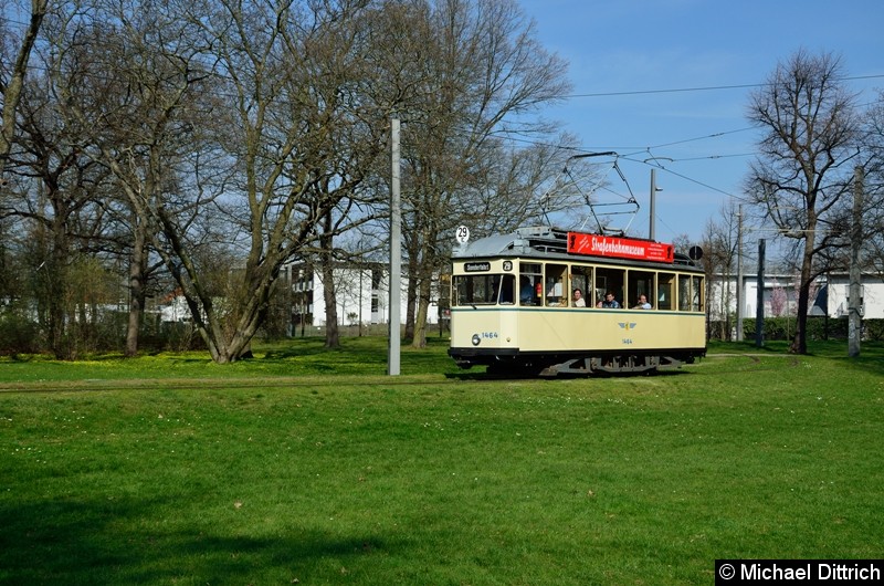 Bild: 1464 im Park Naunhofer Str.
