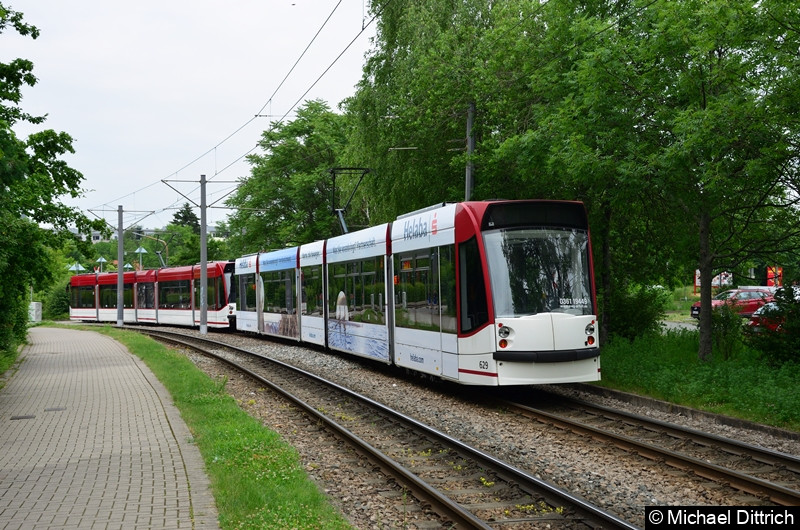 Bild: Combino 641 und 629 als Werkstattfahrt zwischen den Haltestellen Melchendorf Markt und Melchendorf.